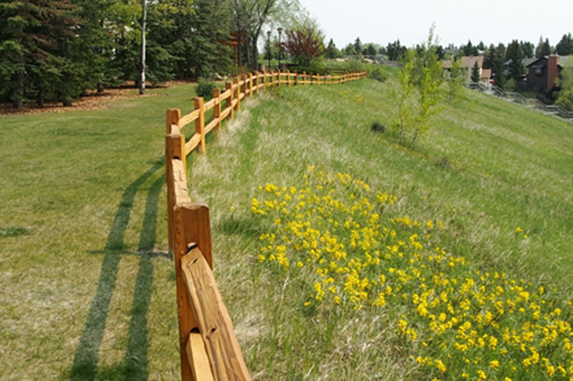 The Native Species Parkland Project (29 years later)