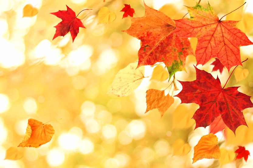 Presidents Message – September 2020