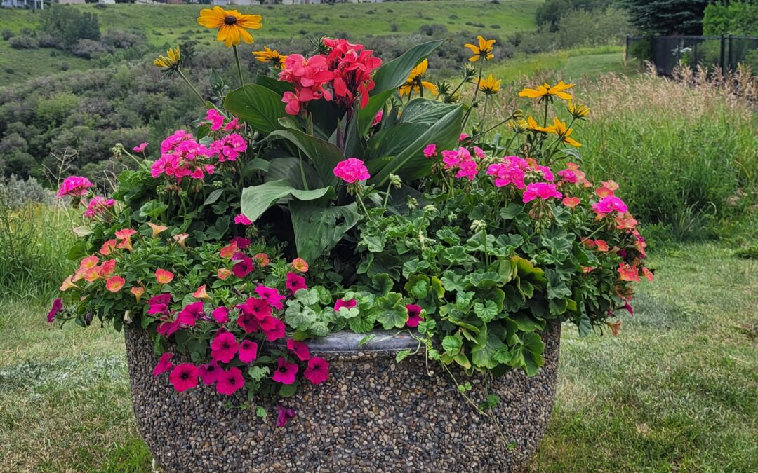 Cut a Bouquet of Flowers from the PLANTERS on October 15th and 16th